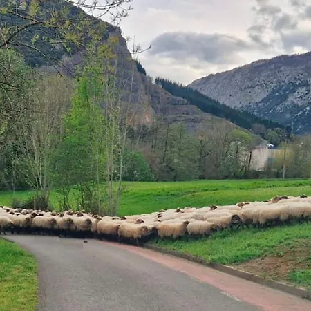 Caserio Zubieta *